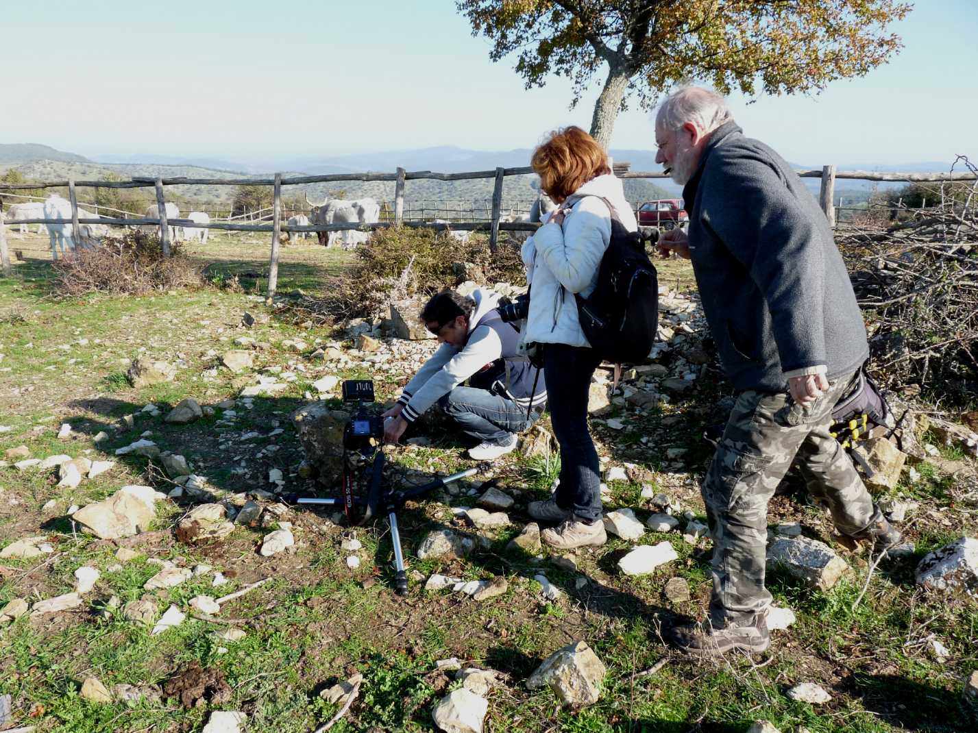 Incontro di Natura Mediterraneo 5 (->12) novembre 2011